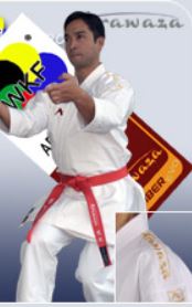 Arawaza Amber Evolution GOLD, Karate