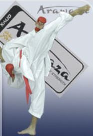 Arawaza Onyx, Karate