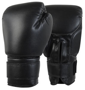 Cardio PVC Boxing Gloves – The Martial Artist